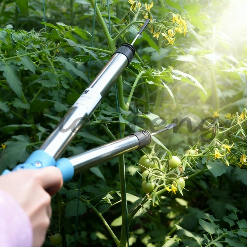 Agriculture Tomato Farming - 220V‑50Hz 6A Elektryczny wibracyjny zapylacz przenośny
