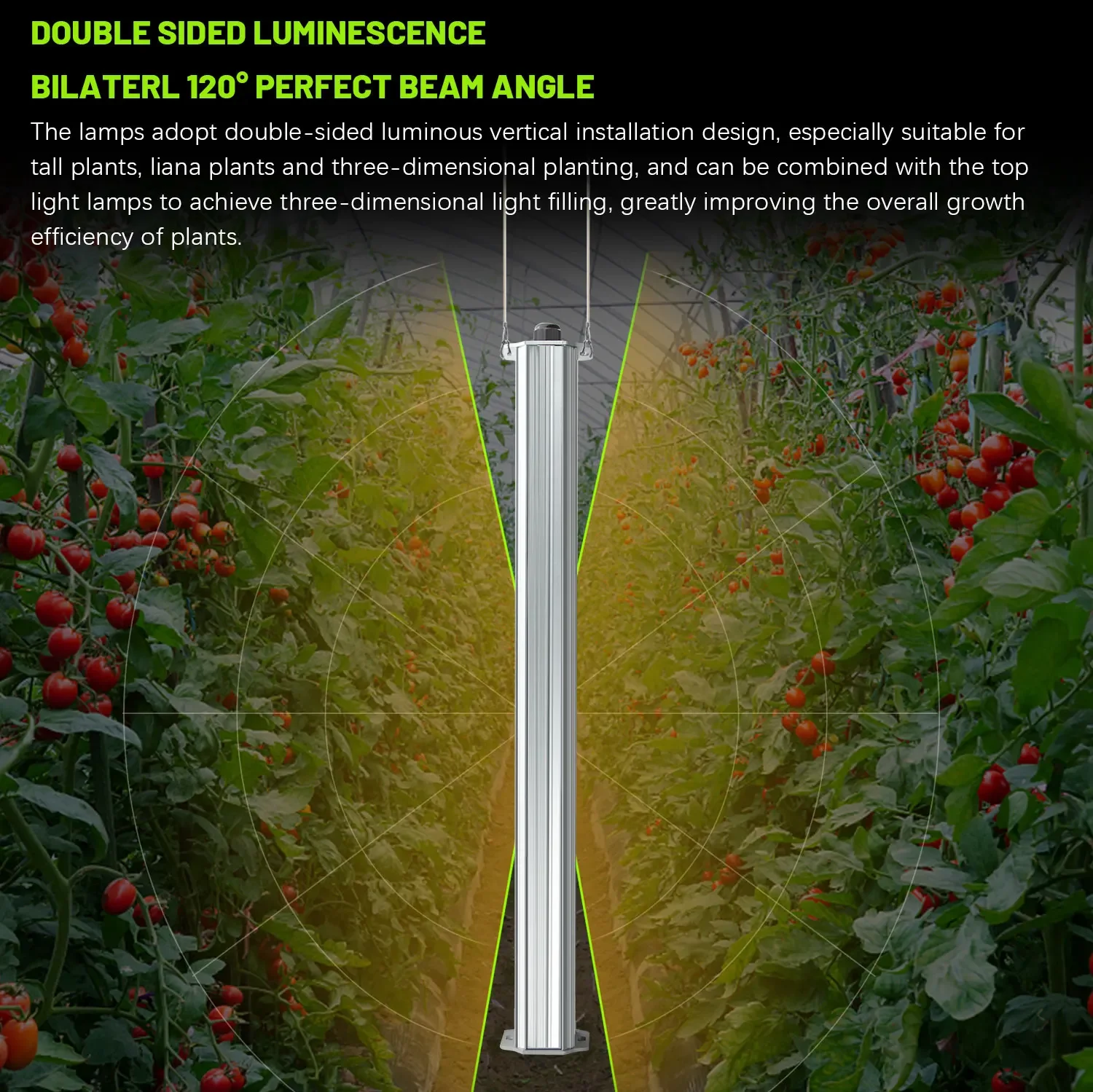 Agriculture Tomato Farming - Najlepsze rośliny z listu ETL do