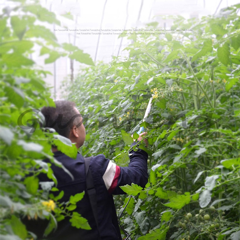 220V‑50Hz 6A Elektryczny wibra – Agriculture Tomato Farming recenzja i cena