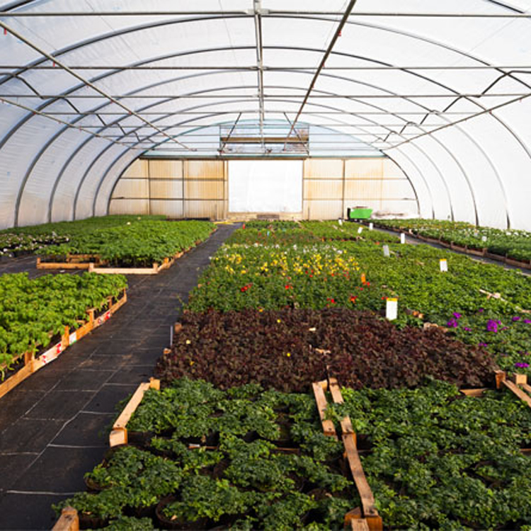 Rura ogrodnicza metalowa 8x30  – Agriculture Tomato Farming recenzja i cena